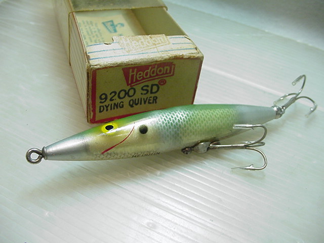 オールド ヘドン★ダィイングクイーバ/反射板/SD/箱