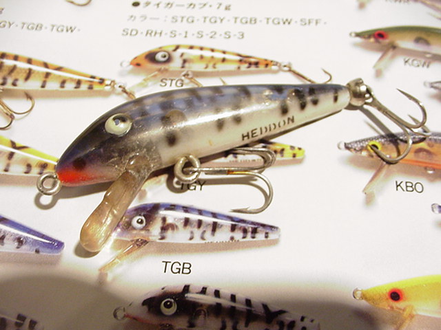 ★オールドヘドン タイガーカップ/ＨＥＤＤＯＮ TIGER CUP/TGB